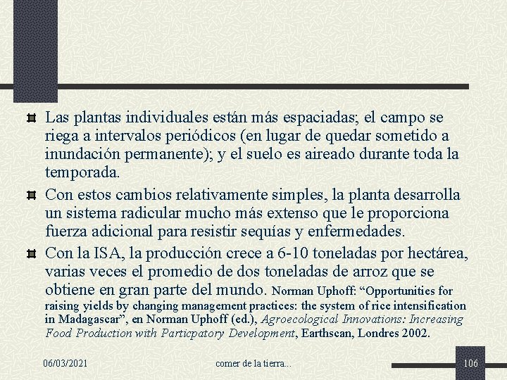 Las plantas individuales están más espaciadas; el campo se riega a intervalos periódicos (en