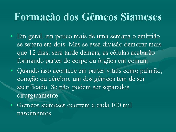 Formação dos Gêmeos Siameses • Em geral, em pouco mais de uma semana o