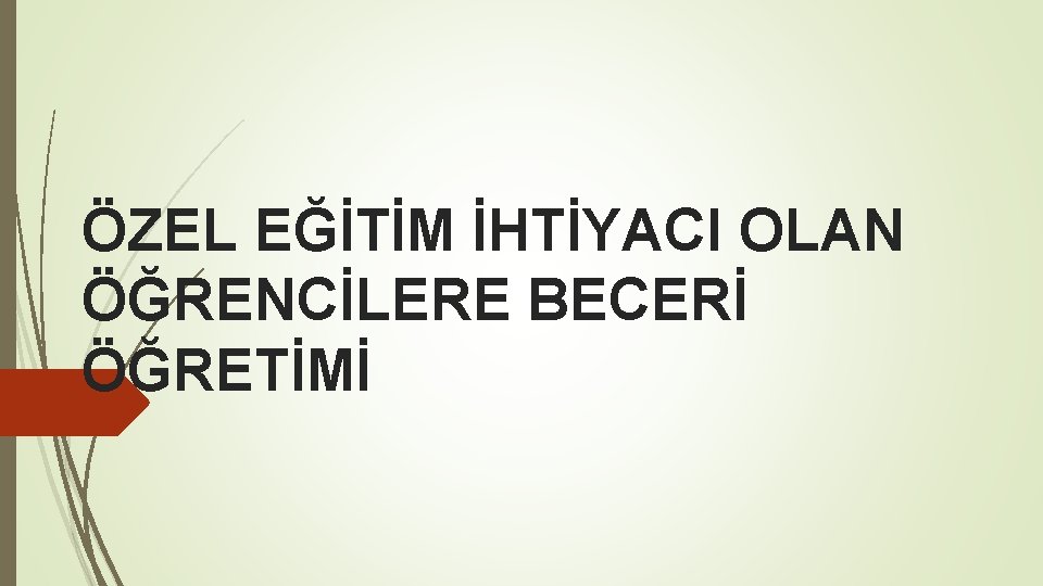 ÖZEL EĞİTİM İHTİYACI OLAN ÖĞRENCİLERE BECERİ ÖĞRETİMİ 