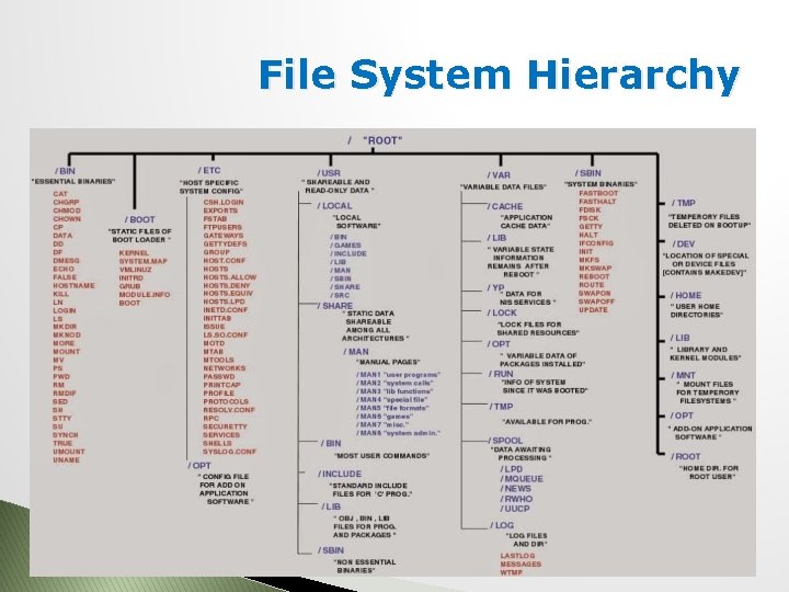 File System Hierarchy 