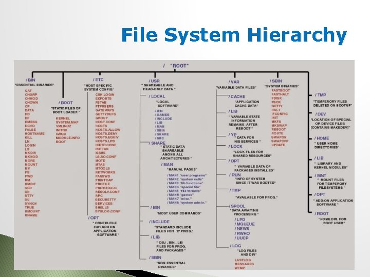 File System Hierarchy File System Hierarchy