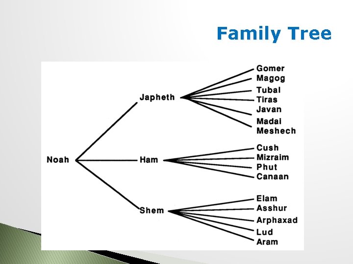 Family Tree 