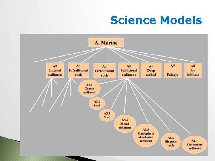 Science Models 