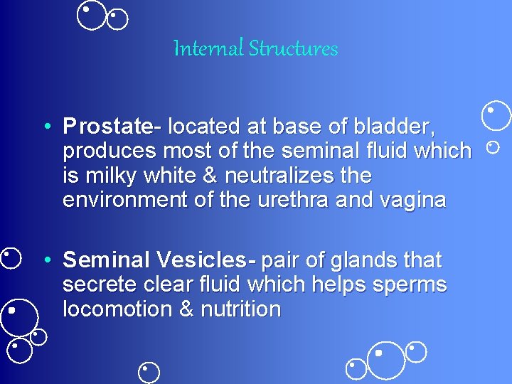 Internal Structures • Prostate- located at base of bladder, produces most of the seminal
