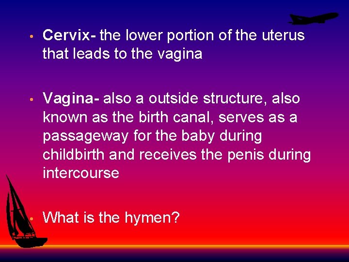  • Cervix- the lower portion of the uterus that leads to the vagina
