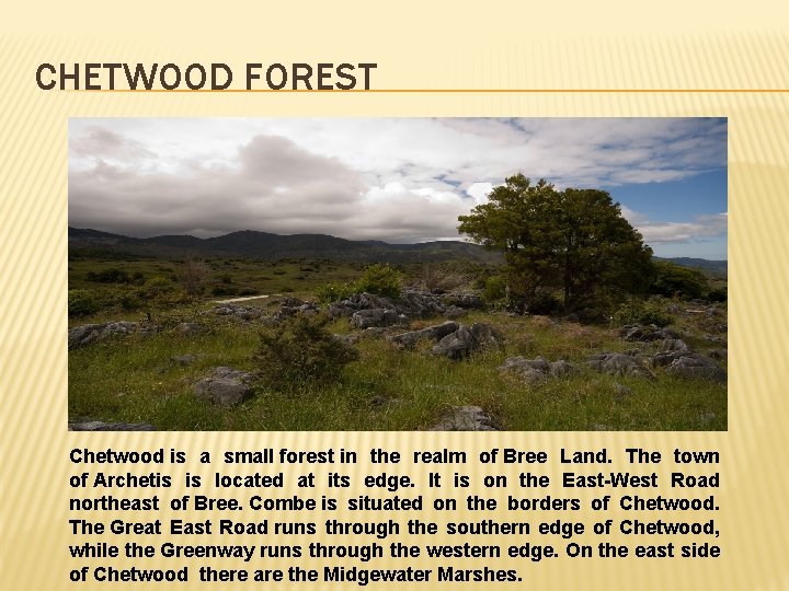 CHETWOOD FOREST Chetwood is a small forest in the realm of Bree Land. The
