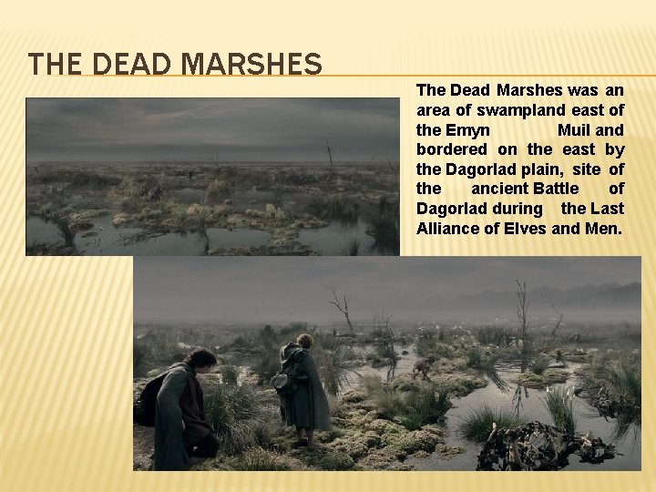 THE DEAD MARSHES The Dead Marshes was an area of swampland east of the