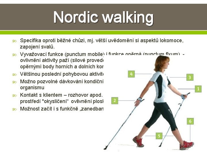 Nordic walking Specifika oproti běžné chůzi, mj. větší uvědomění si aspektů lokomoce, zapojení svalů. Nordic walking Specifika oproti běžné chůzi, mj. větší uvědomění si aspektů lokomoce, zapojení svalů.