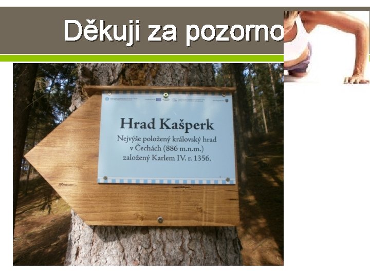 Děkuji za pozornost Děkuji za pozornost