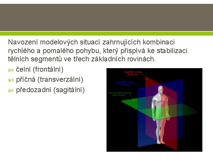 Navození modelových situací zahrnujících kombinaci rychlého a pomalého pohybu, který přispívá ke stabilizaci tělních Navození modelových situací zahrnujících kombinaci rychlého a pomalého pohybu, který přispívá ke stabilizaci tělních