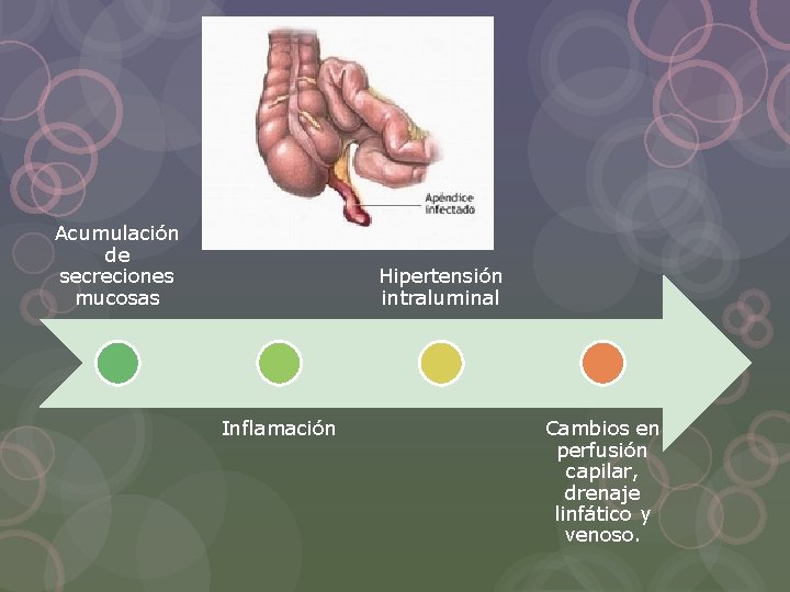Acumulación de secreciones mucosas Hipertensión intraluminal Inflamación Cambios en perfusión capilar, drenaje linfático y