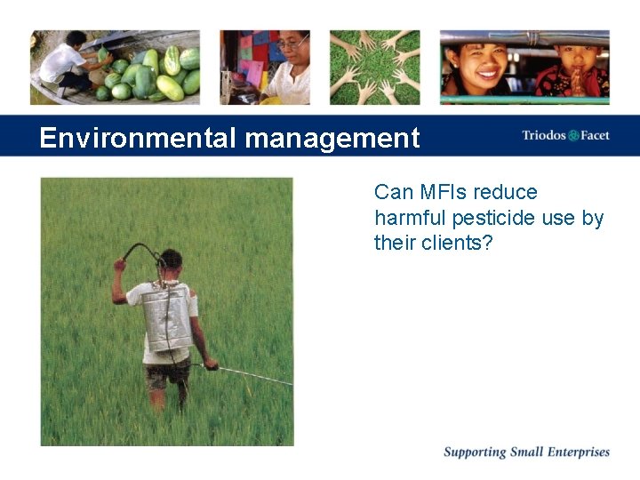Environmental management Can MFIs reduce harmful pesticide use by their clients? 