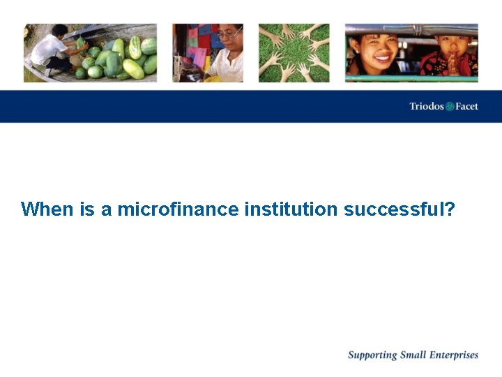 When is a microfinance institution successful? 