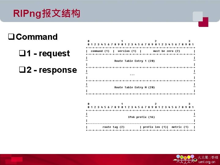 RIPng报文结构 q Command q 1 - request q 2 - response 