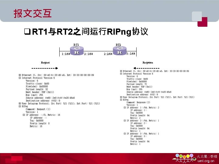 报文交互 q RT 1与RT 2之间运行RIPng协议 RT 1 1: : 1/64 Request RT 2 2: