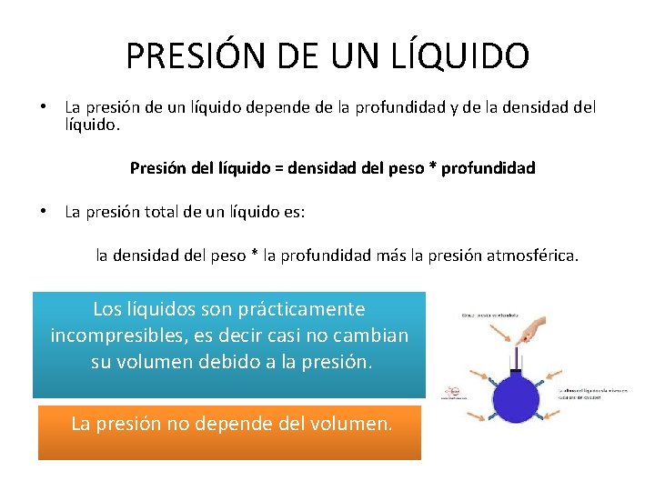 PRESIÓN DE UN LÍQUIDO • La presión de un líquido depende de la profundidad