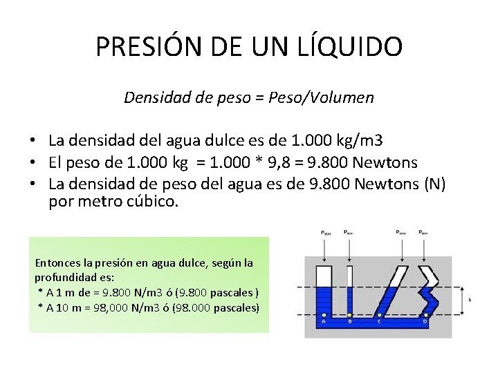 PRESIÓN DE UN LÍQUIDO Densidad de peso = Peso/Volumen • La densidad del agua