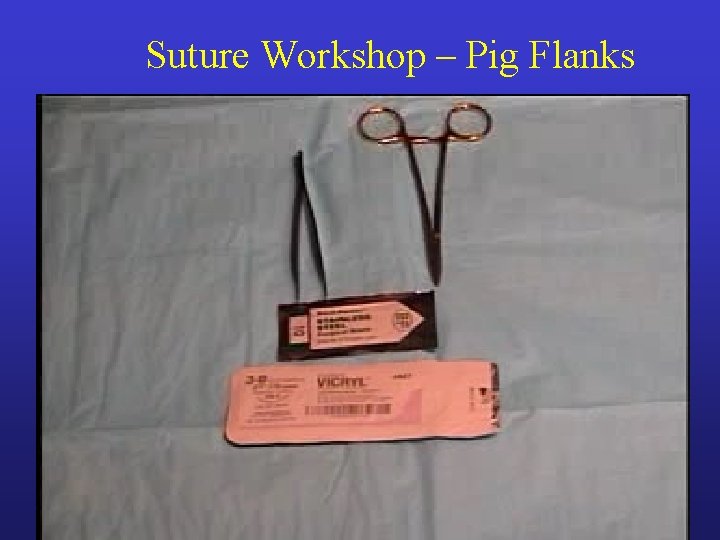 Suture Workshop – Pig Flanks Suture Workshop – Pig Flanks