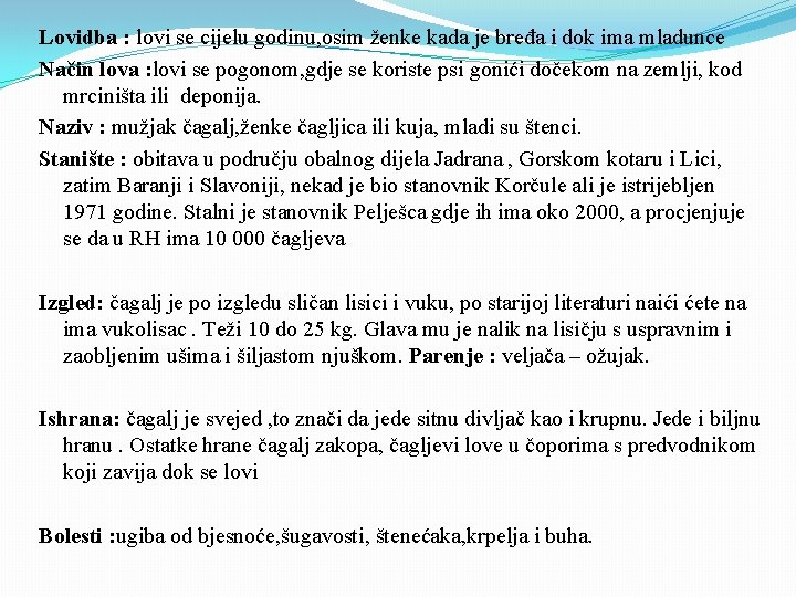 Lovidba : lovi se cijelu godinu, osim ženke kada je bređa i dok ima