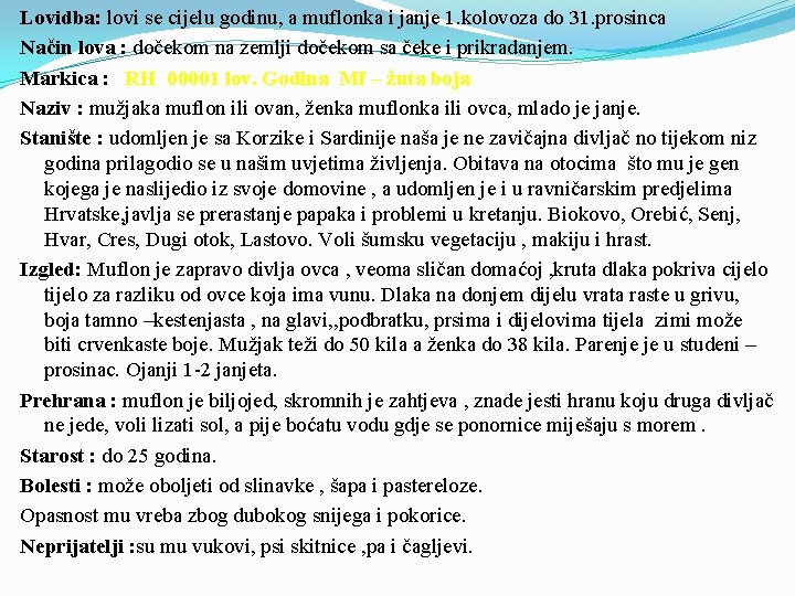 Lovidba: lovi se cijelu godinu, a muflonka i janje 1. kolovoza do 31. prosinca