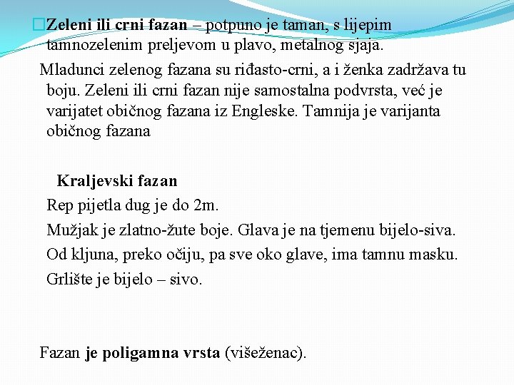 �Zeleni ili crni fazan – potpuno je taman, s lijepim tamnozelenim preljevom u plavo,