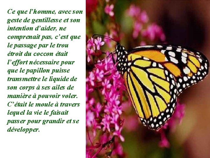 Ce que l’homme, avec son geste de gentillesse et son intention d’aider, ne comprenait