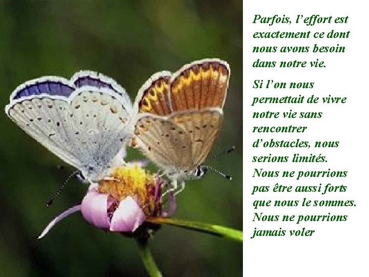 Parfois, l’effort est exactement ce dont nous avons besoin dans notre vie. Si l’on