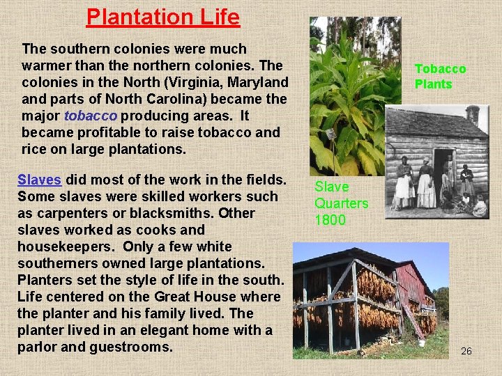 Plantation Life The southern colonies were much warmer than the northern colonies. The colonies