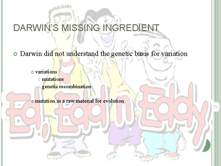 DARWIN’S MISSING INGREDIENT Darwin did not understand the genetic basis for variations mutations genetic