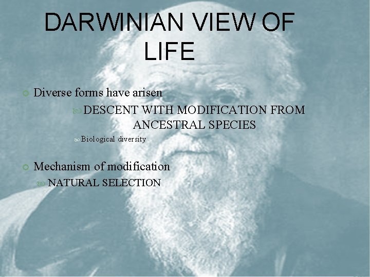 DARWINIAN VIEW OF LIFE Diverse forms have arisen DESCENT WITH MODIFICATION FROM ANCESTRAL SPECIES