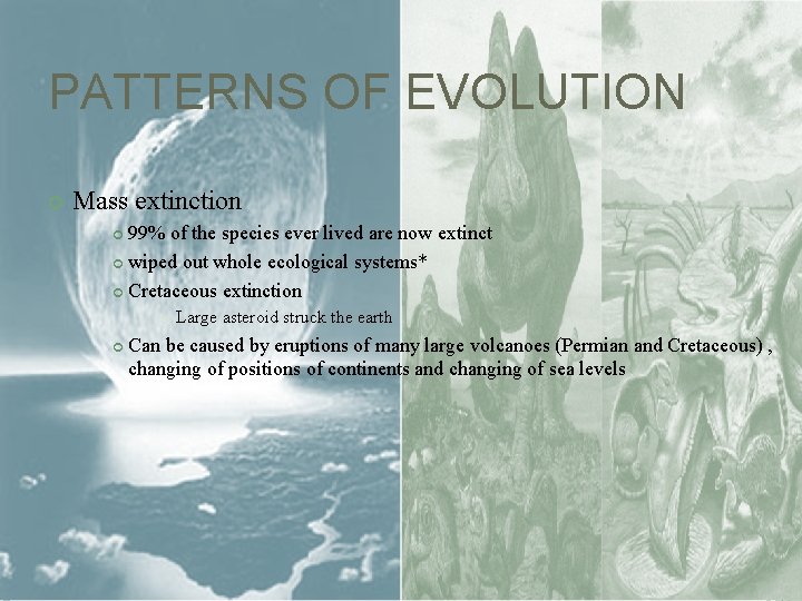 PATTERNS OF EVOLUTION Mass extinction 99% of the species ever lived are now extinct