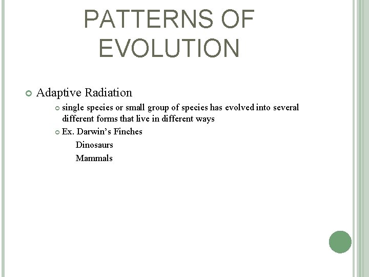 PATTERNS OF EVOLUTION Adaptive Radiation single species or small group of species has evolved