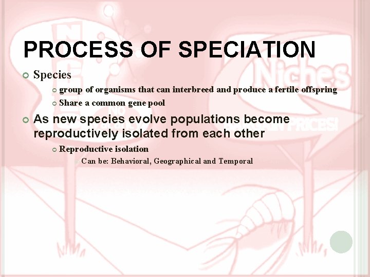 PROCESS OF SPECIATION Species group of organisms that can interbreed and produce a fertile