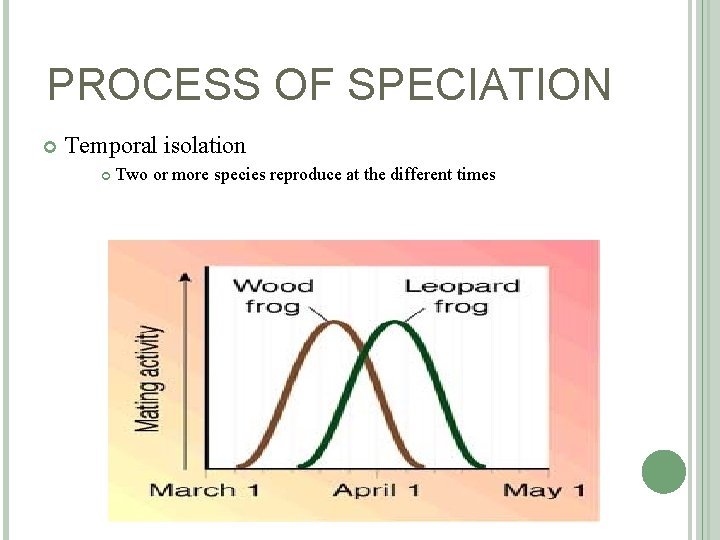 PROCESS OF SPECIATION Temporal isolation Two or more species reproduce at the different times