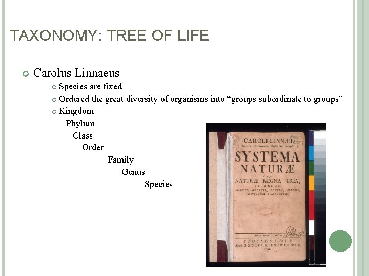 TAXONOMY: TREE OF LIFE Carolus Linnaeus Species are fixed Ordered the great diversity of