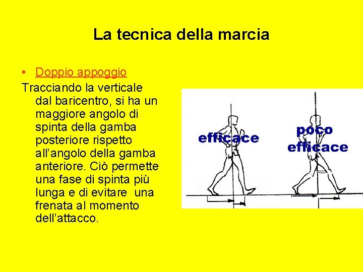 La tecnica della marcia • Doppio appoggio Tracciando la verticale dal baricentro, si ha