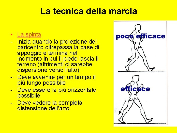 La tecnica della marcia • La spinta - inizia quando la proiezione del baricentro
