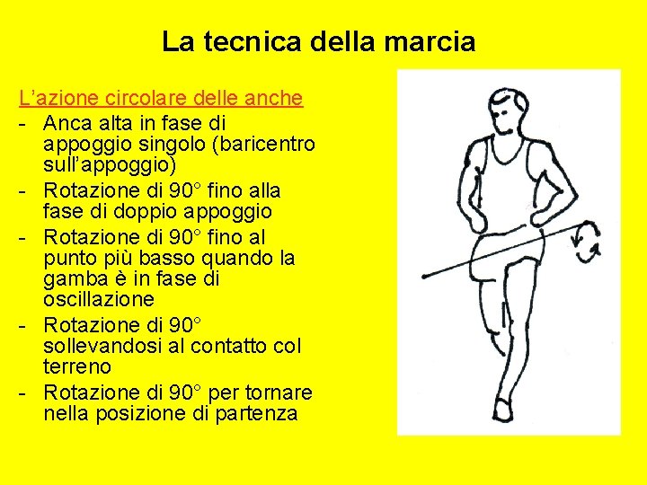 La tecnica della marcia L’azione circolare delle anche - Anca alta in fase di