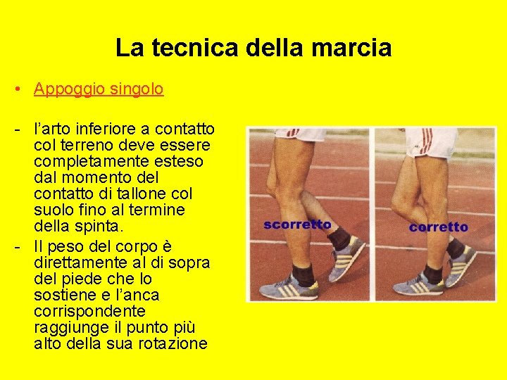 La tecnica della marcia • Appoggio singolo - l’arto inferiore a contatto col terreno
