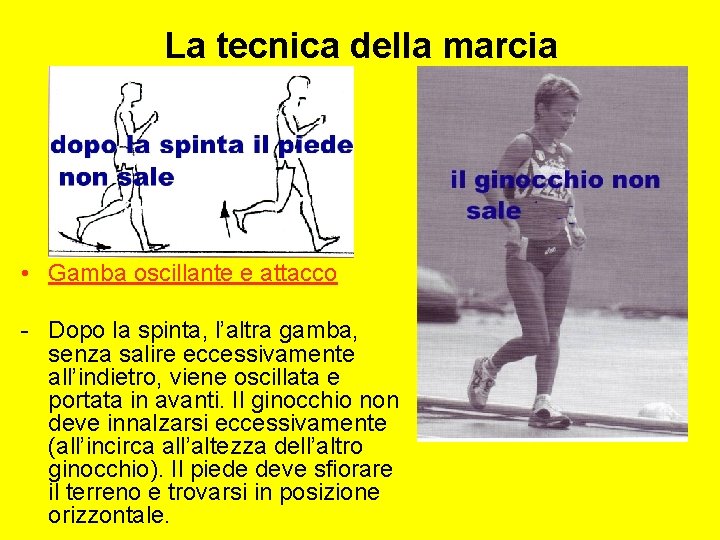 La tecnica della marcia • Gamba oscillante e attacco - Dopo la spinta, l’altra