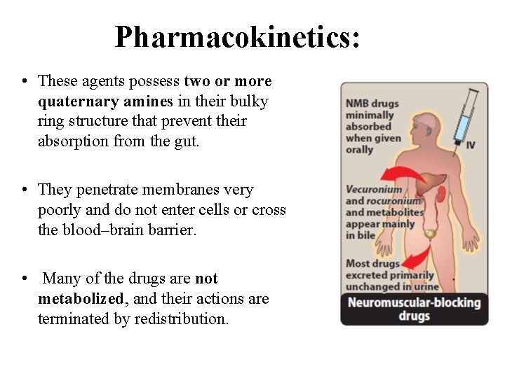 Pharmacokinetics: • These agents possess two or more quaternary amines in their bulky ring