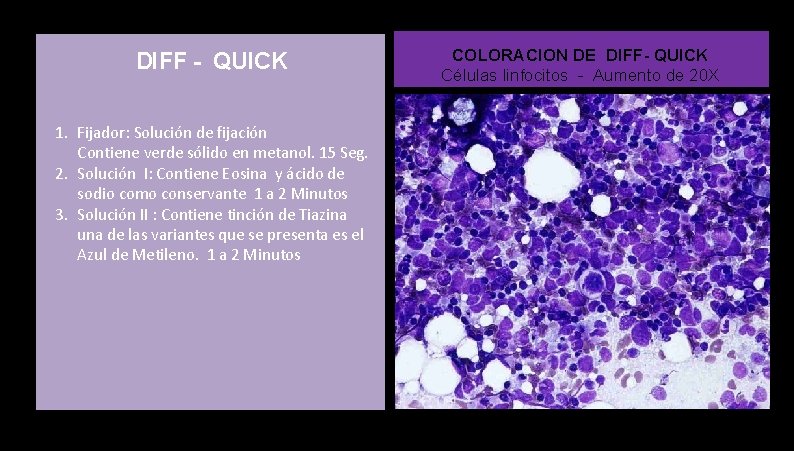 DIFF - QUICK 1. Fijador: Solución de fijación Contiene verde sólido en metanol. 15