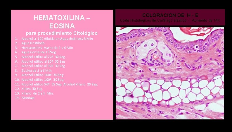 HEMATOXILINA – EOSINA para procedimiento Citológico 1. 2. 3. 4. 5. 6. 7. 8.