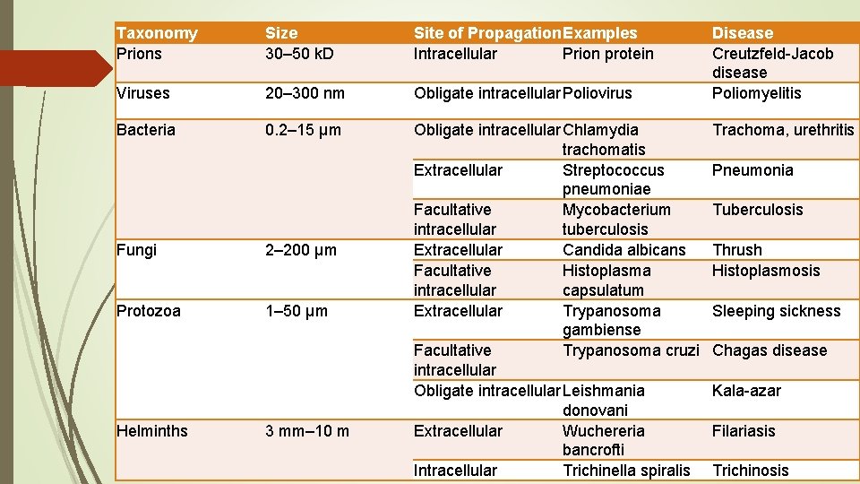 Taxonomy Prions Size 30– 50 k. D Site of Propagation. Examples Intracellular Prion protein