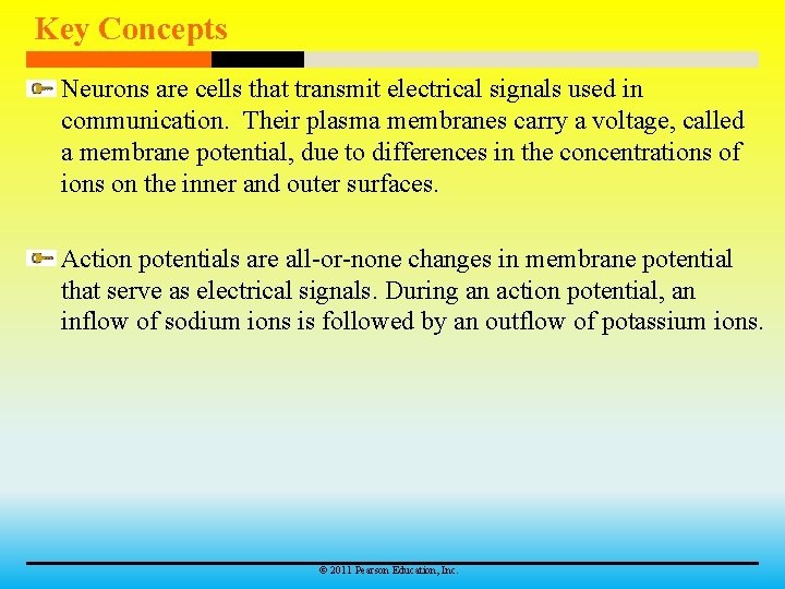 Key Concepts Neurons are cells that transmit electrical signals used in communication. Their plasma