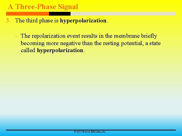 A Three-Phase Signal 3. The third phase is hyperpolarization. – The repolarization event results