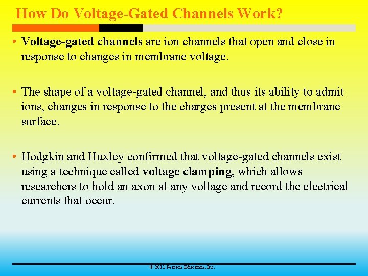 How Do Voltage-Gated Channels Work? • Voltage-gated channels are ion channels that open and