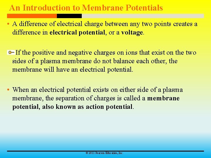 An Introduction to Membrane Potentials • A difference of electrical charge between any two