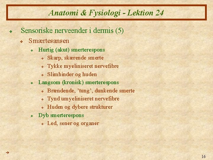 Anatomi Fysiologi XXIV Huden 1 Anatomi Fysiologi Lektion