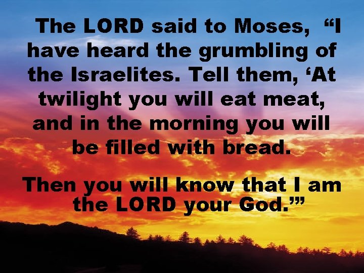 The LORD said to Moses, “I have heard the grumbling of the Israelites. Tell